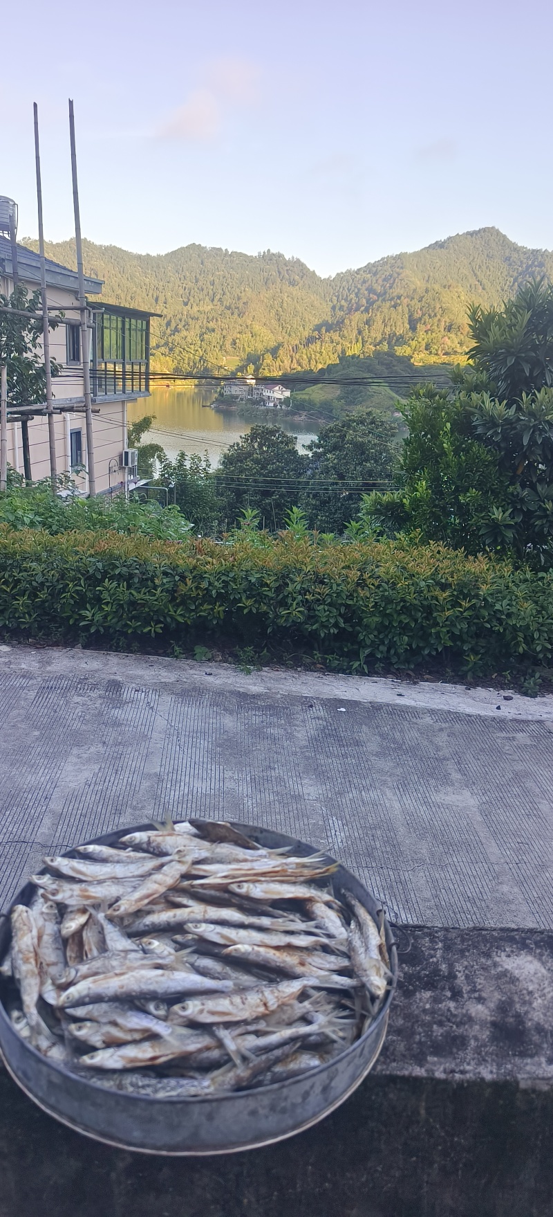 千岛湖碳火烘烤鱼干