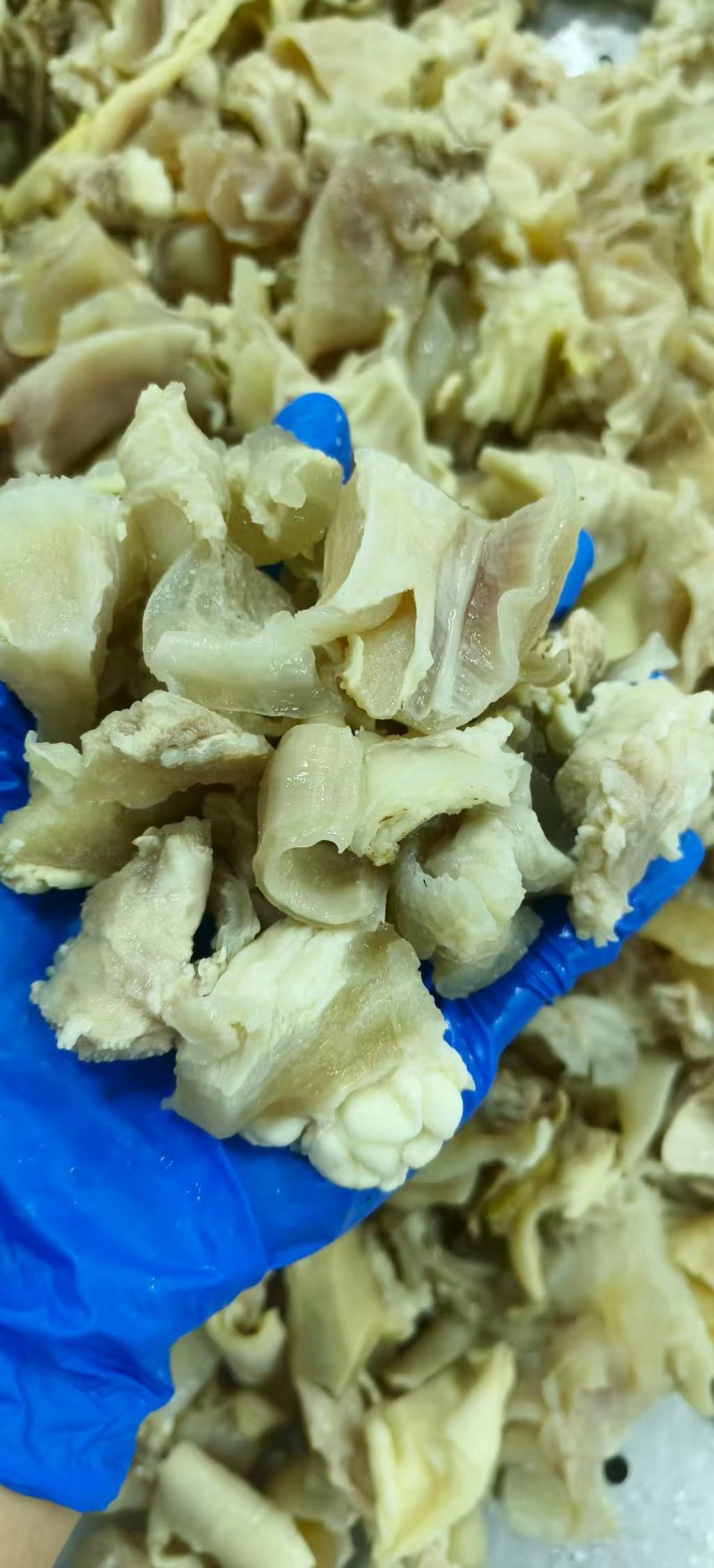 白煮筋头巴脑