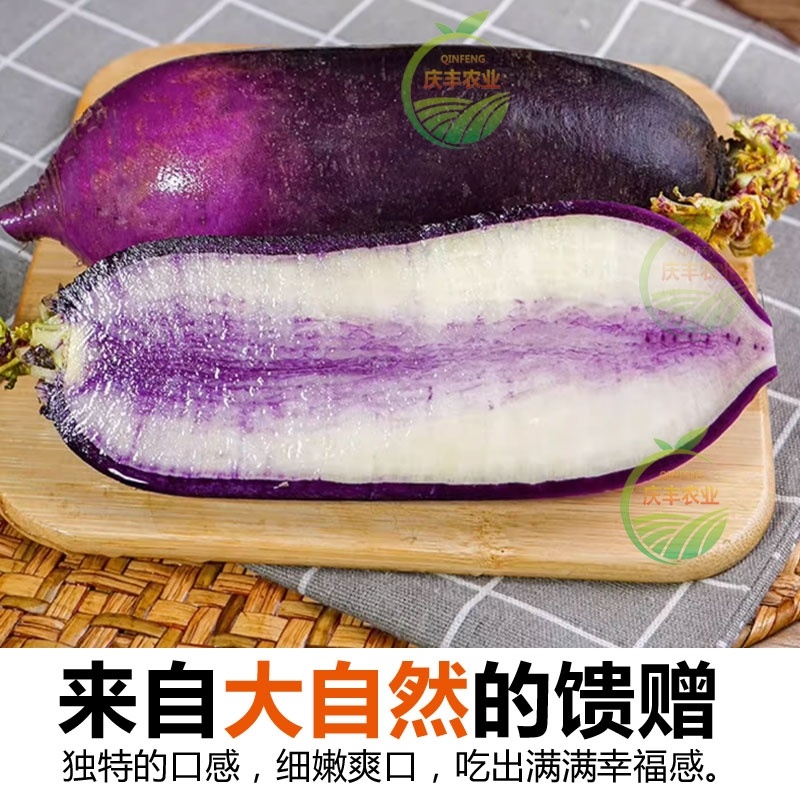 冰淇淋萝卜产地直发潍坊冰淇淋水果萝卜脆甜不辣