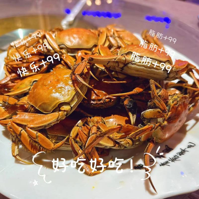 正宗盘锦稻田蟹假一赔十