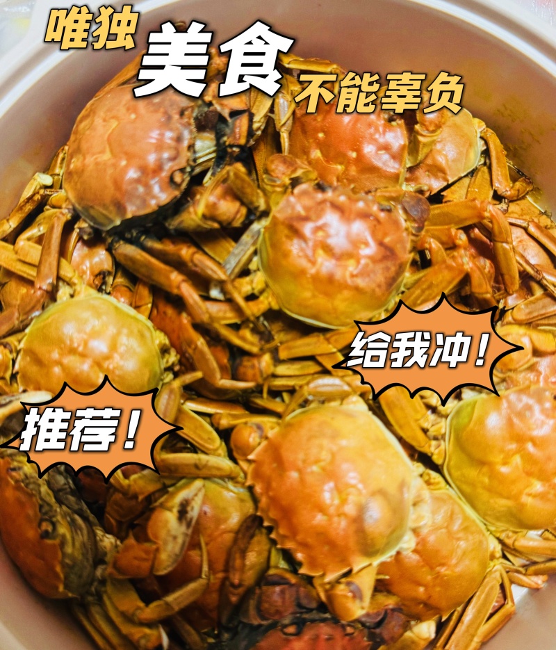 正宗盘锦稻田蟹假一赔十