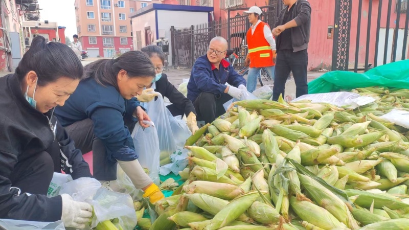 新鲜甜玉米
