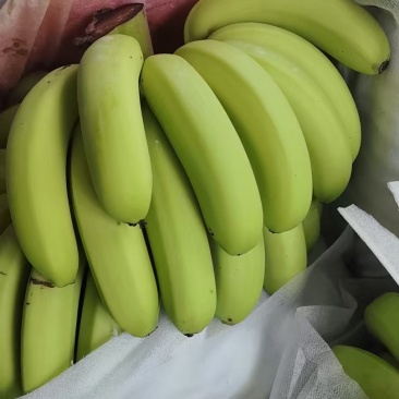 档口香蕉