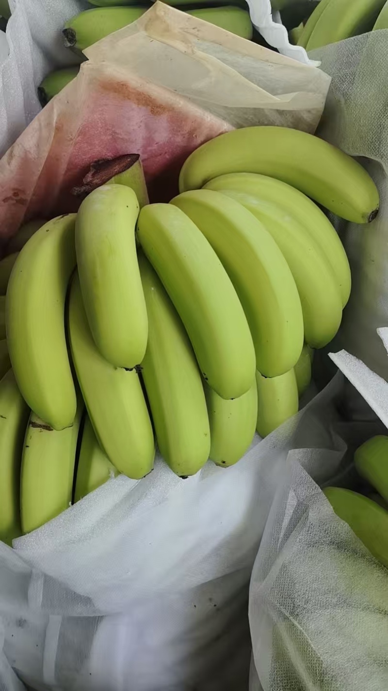 档口香蕉