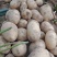 土豆🥔