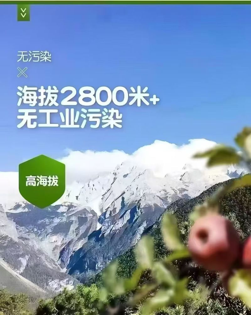 云南丑苹果