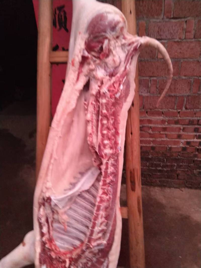 吃熟悉长大的士猪肉