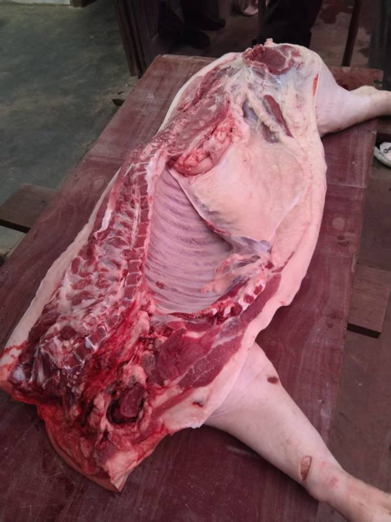 吃熟悉长大的士猪肉