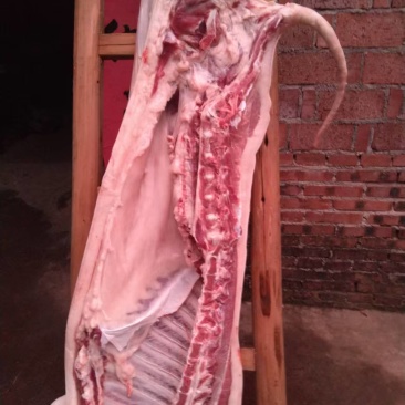 吃熟悉长大的士猪肉