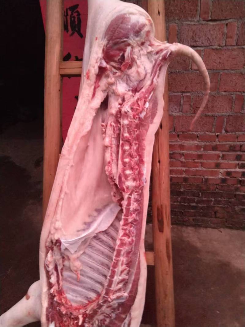 吃熟悉长大的士猪肉