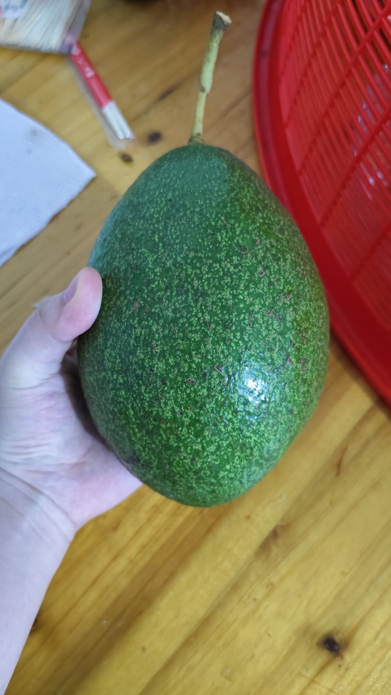 牛油果