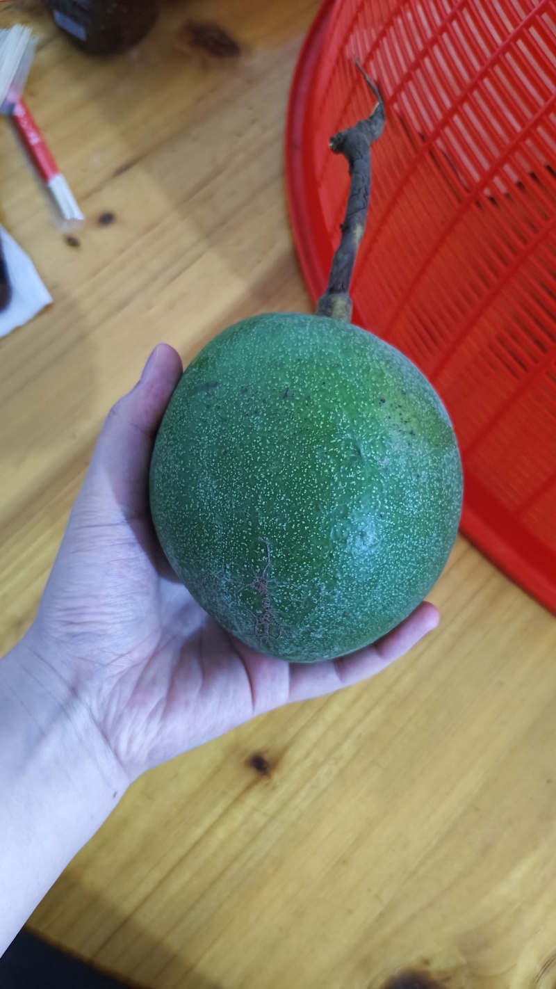 牛油果