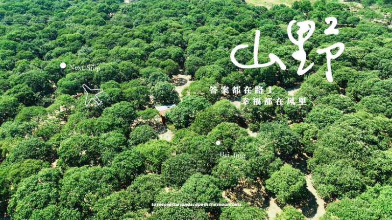 高店油栗，沙土地百年油栗树，昼夜温差大，果实矿物质含量高