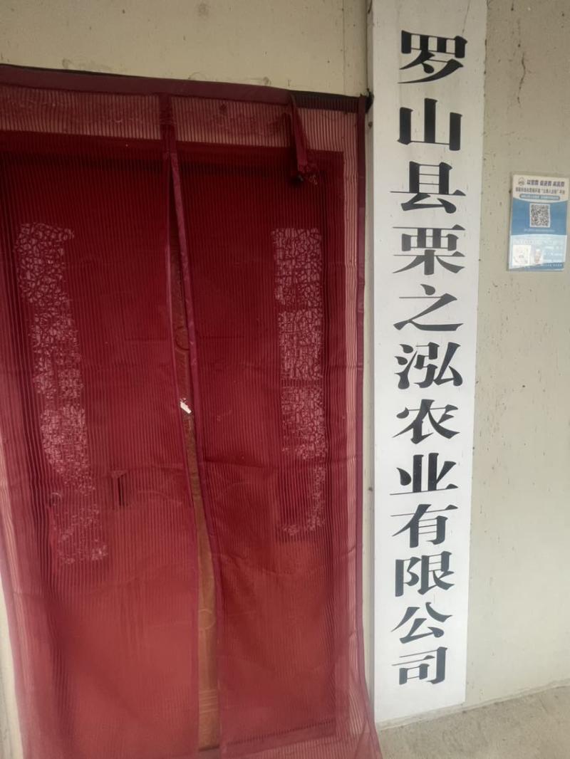 高店油栗，沙土地百年油栗树，昼夜温差大，果实矿物质含量高