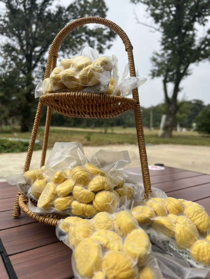 高店油栗，沙土地百年油栗树，昼夜温差大，果实矿物质含量高