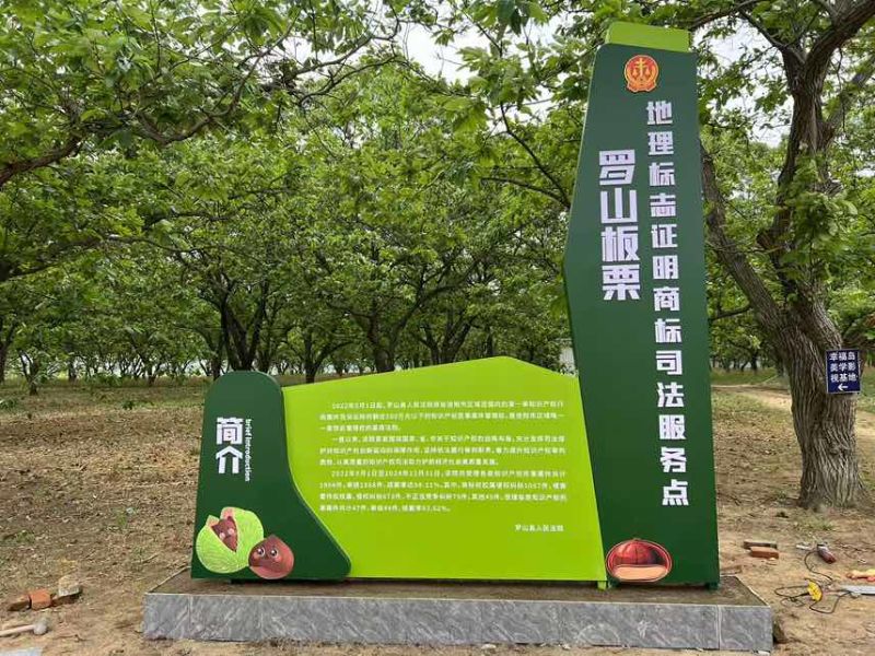高店油栗，沙土地百年油栗树，昼夜温差大，果实矿物质含量高
