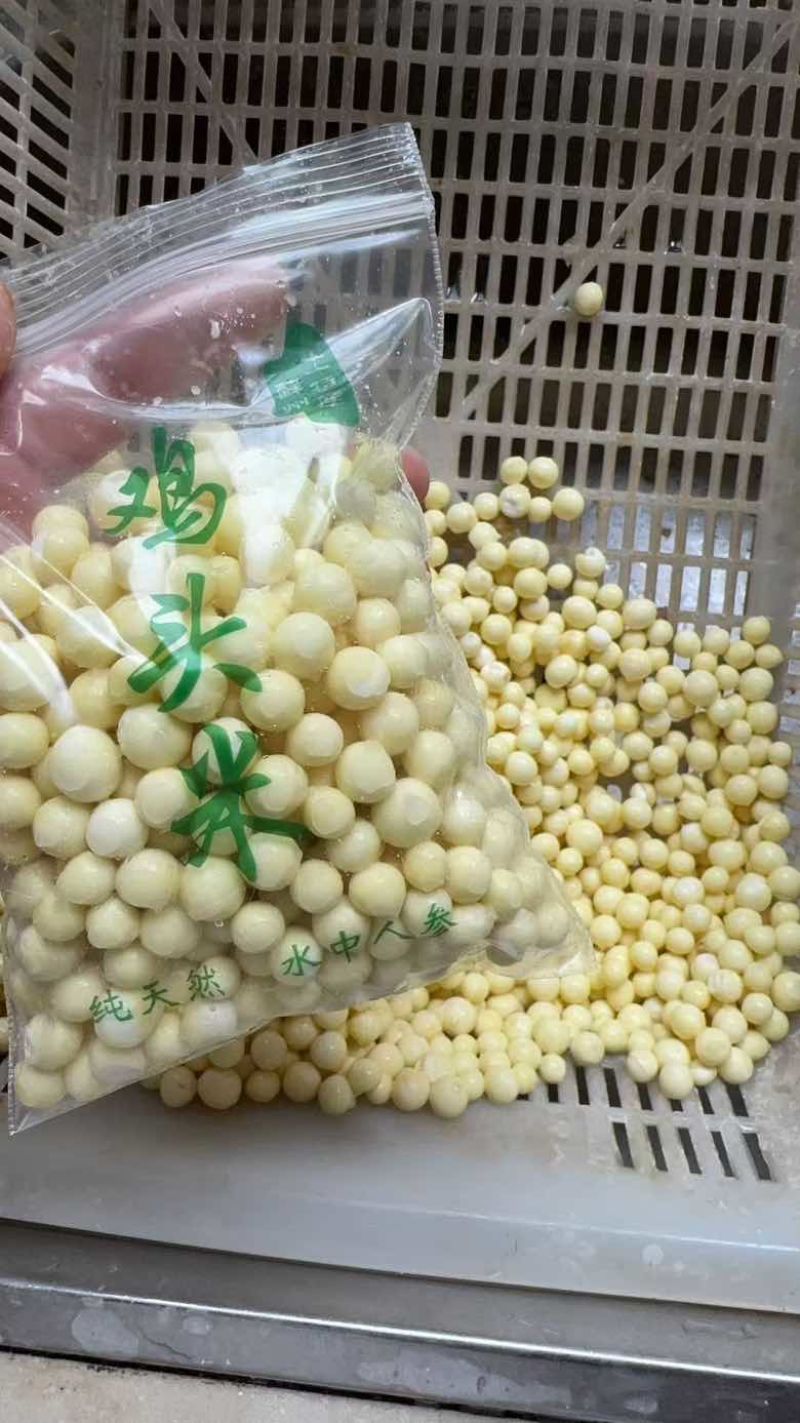 苏州本地鸡头米