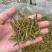黄金芽