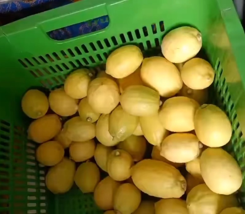 香水黄柠檬