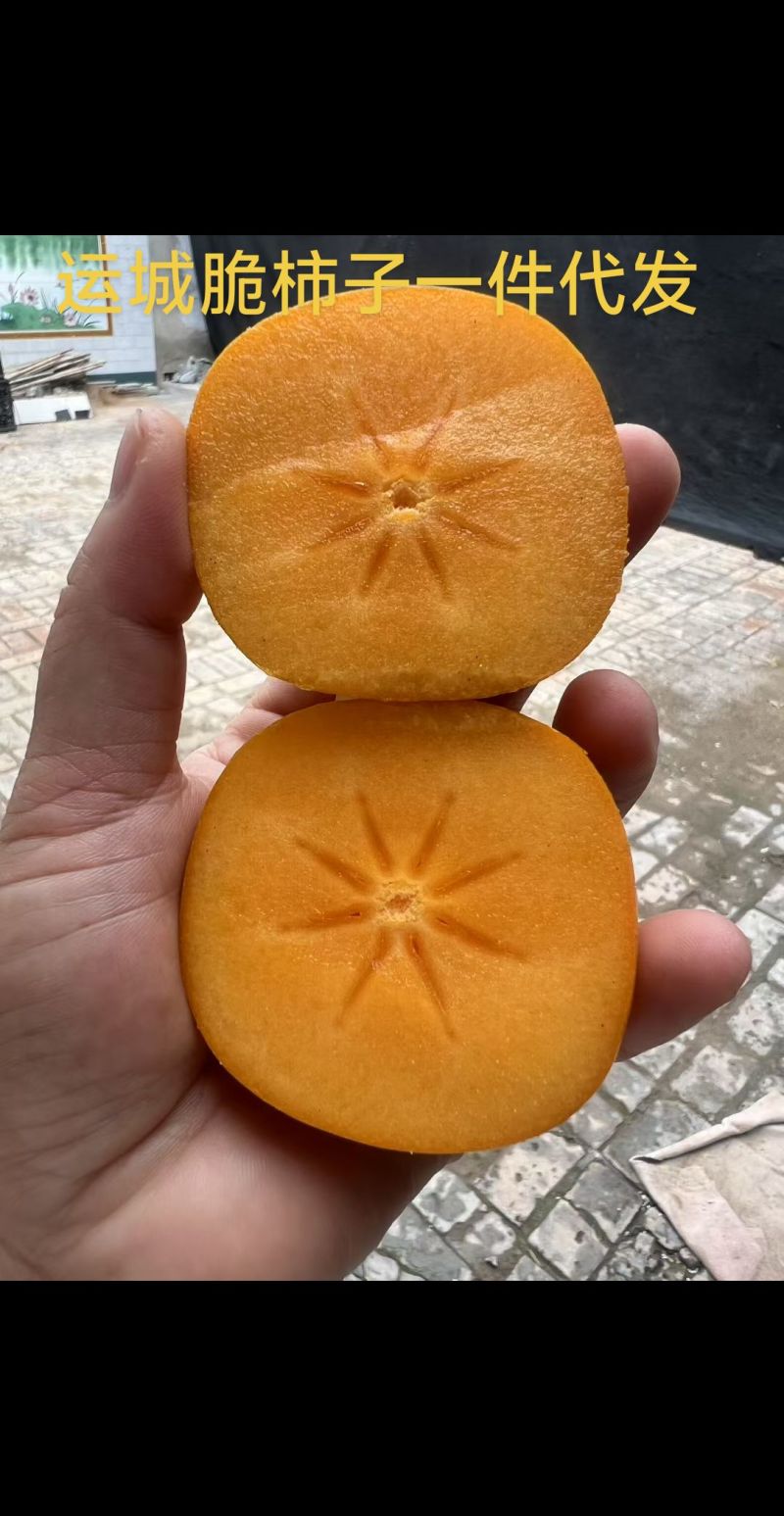 山西运城脆柿子产地直达