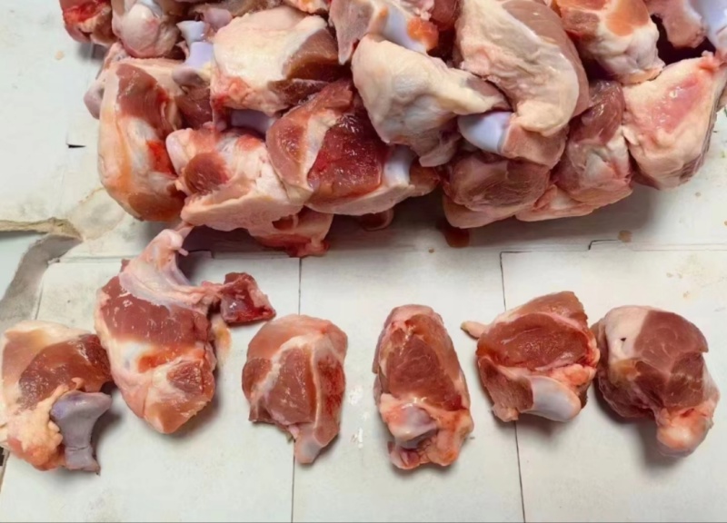 关节骨