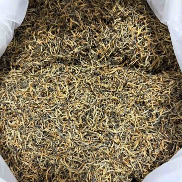 英德红茶-英红九号