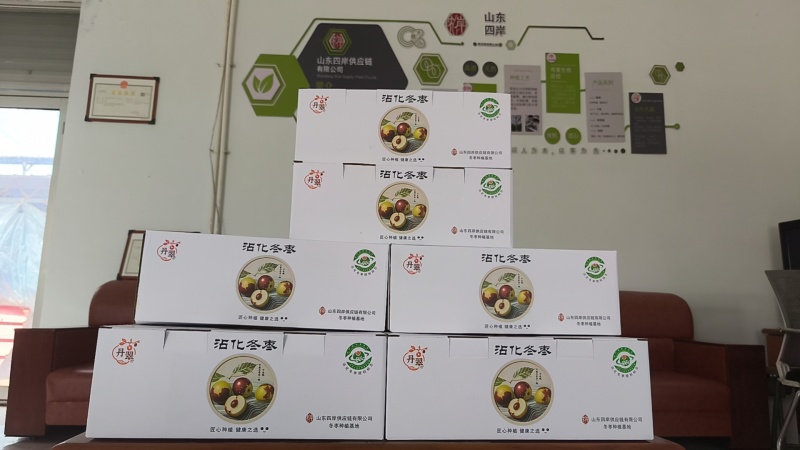 沾化冬枣