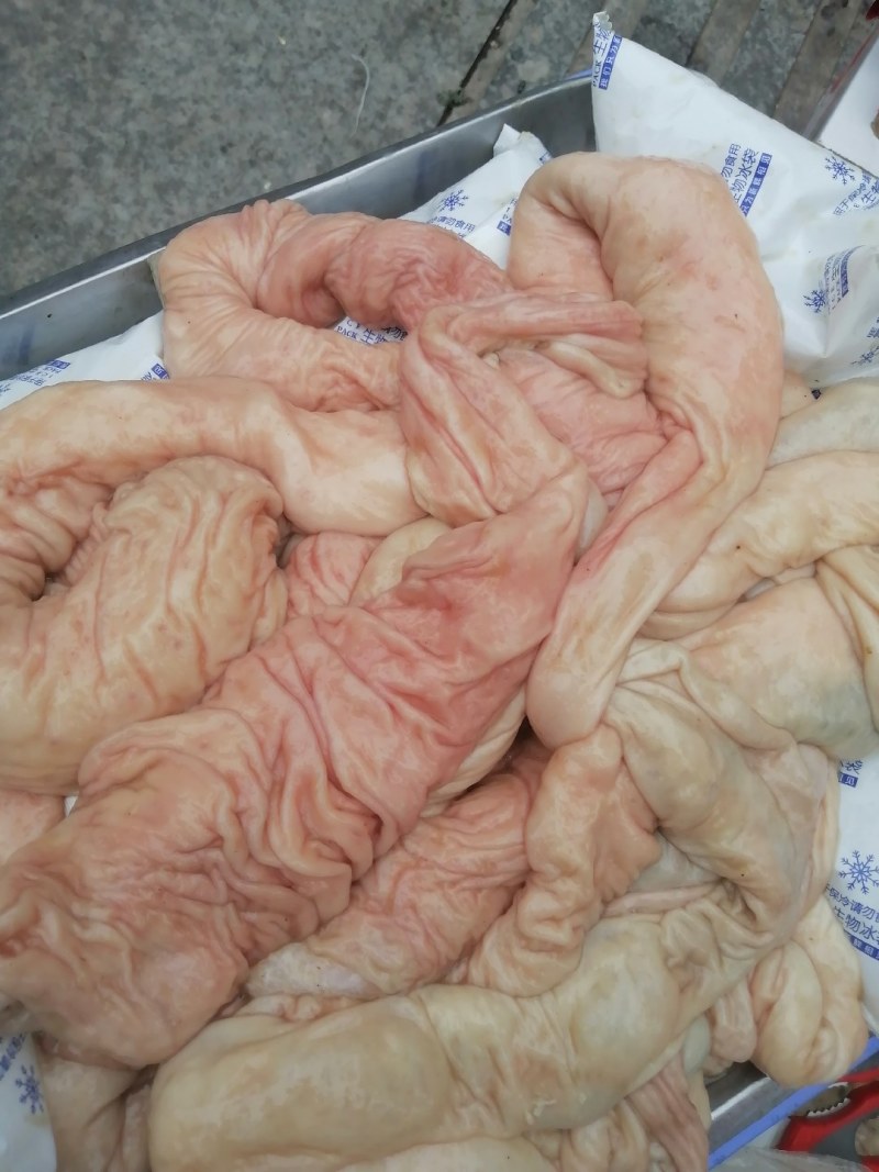 鲜肥肠