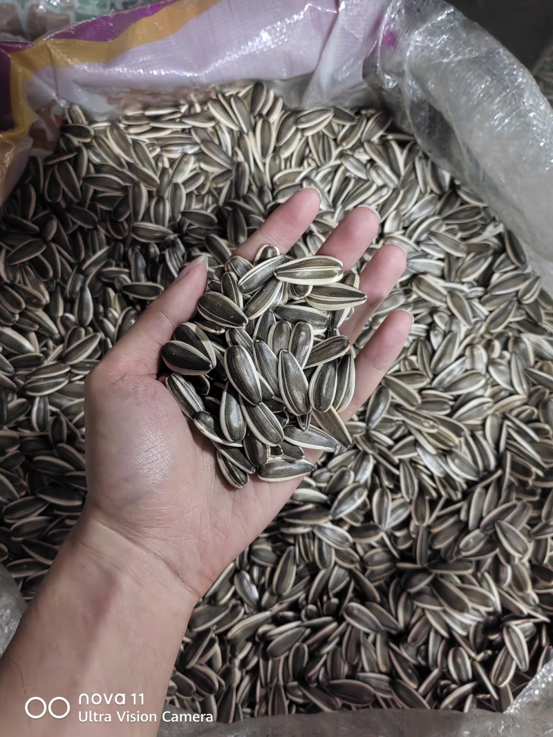 363王中王葵花籽