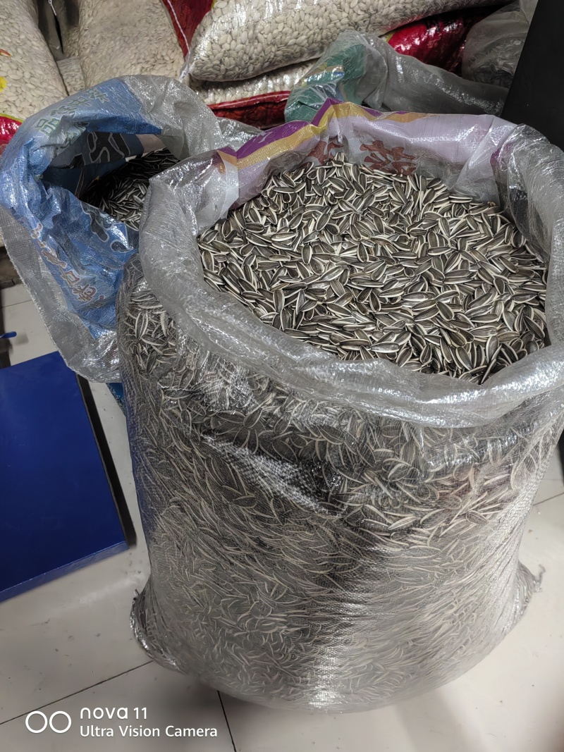 363王中王葵花籽