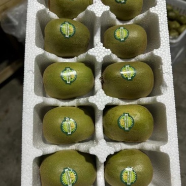 我要出一批精品特大果，60一箱包邮
