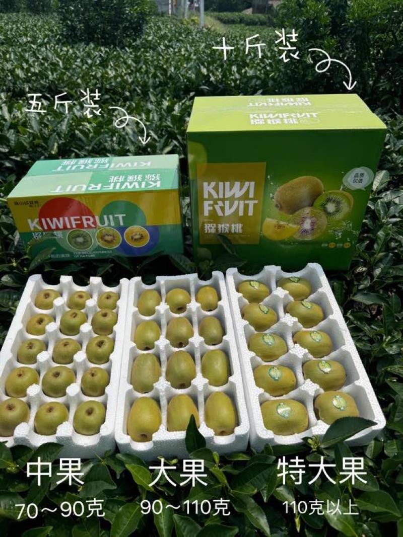 我要出一批精品特大果，60一箱包邮