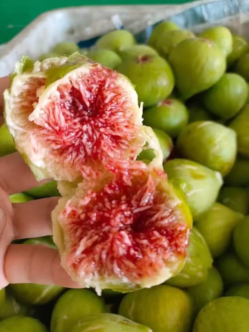 无花果