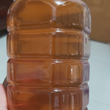 自家养殖***蜂蜜
