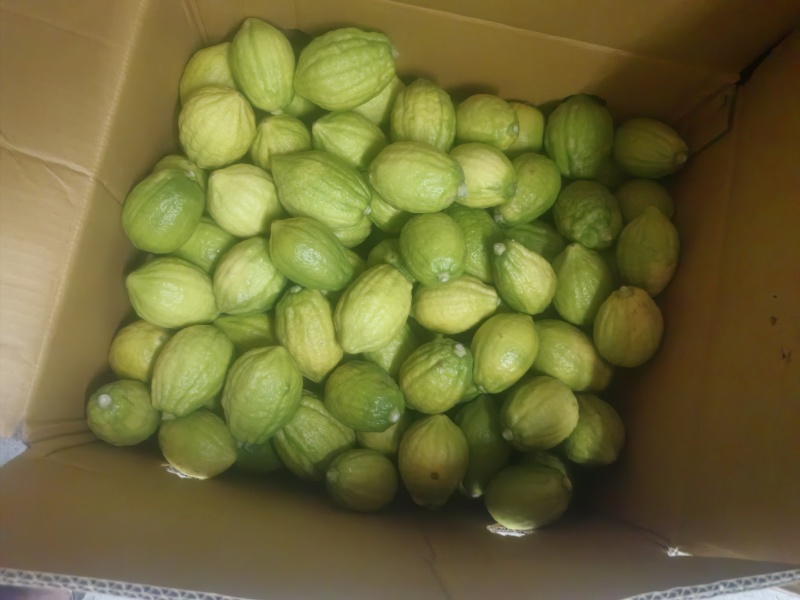香水柠檬