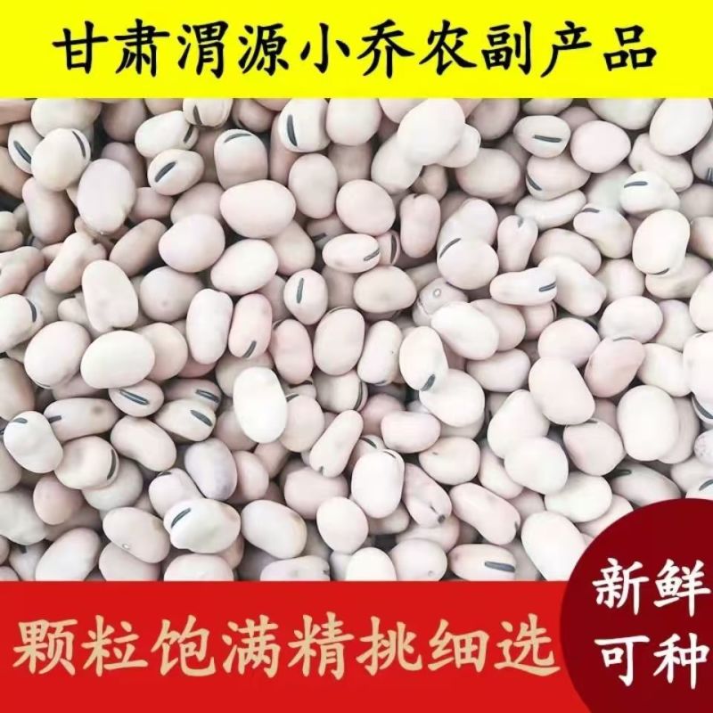 羊眼豆小颗粒蚕豆甘肃定西原产地