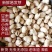羊眼豆小颗粒蚕豆甘肃定西原产地
