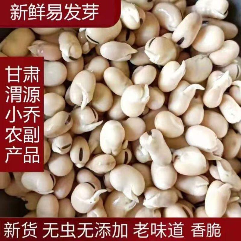 羊眼豆小颗粒蚕豆甘肃定西原产地