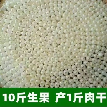广西平南石硖龙眼干桂圆肉