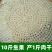 广西平南石硖龙眼干桂圆肉
