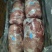 四号腿肉