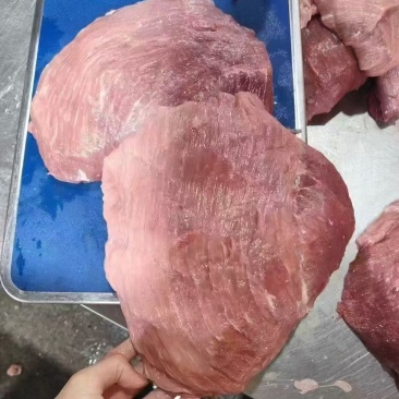母猪大块肉