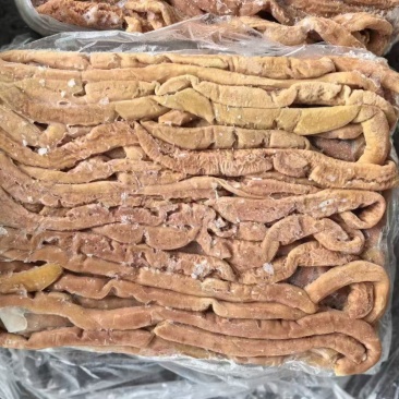 纯干大肠