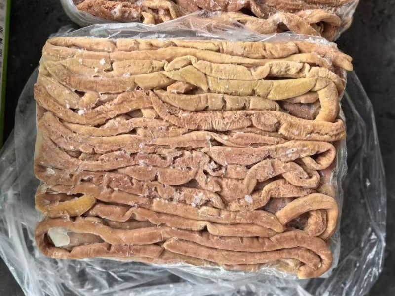 纯干大肠