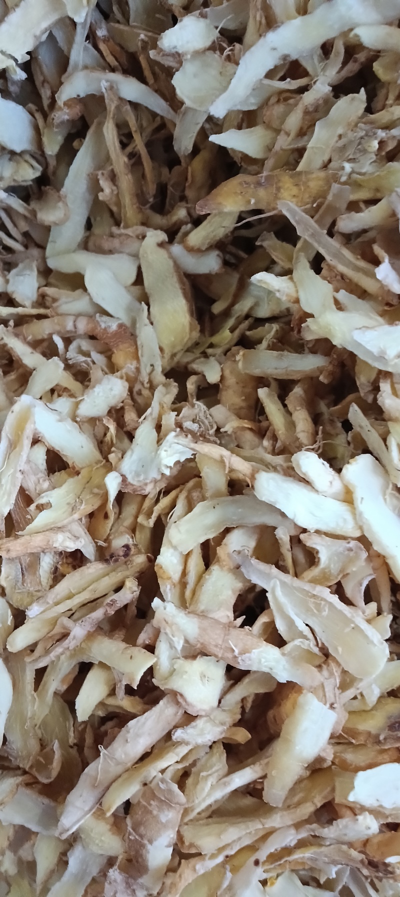 连州玉竹片，干货