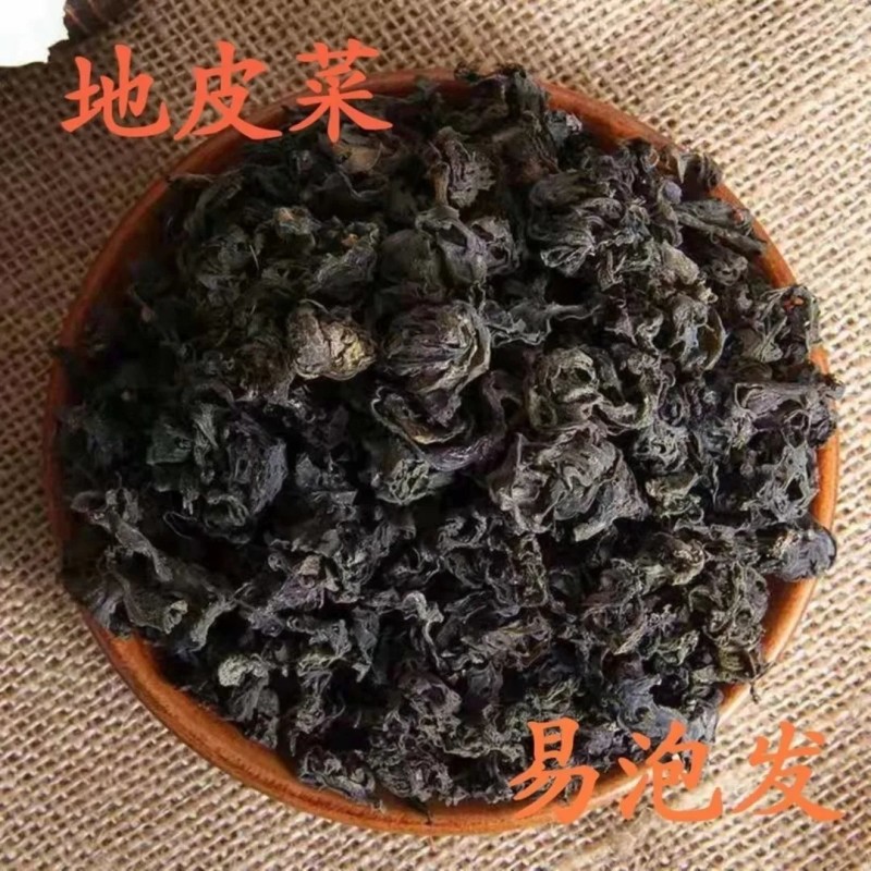 地皮菜免洗非免洗地达菜地软