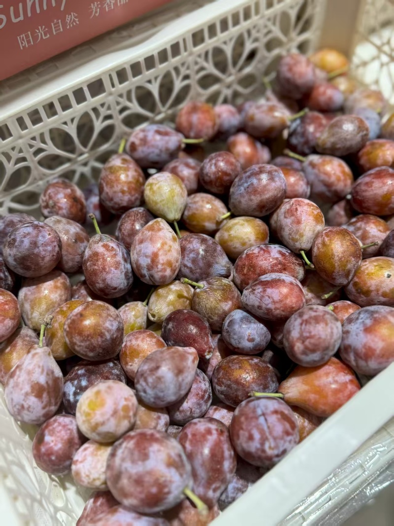 新疆伽师县西梅次果