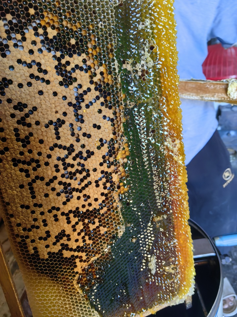 正宗农家土蜂蜜，封盖蜜，百花蜜