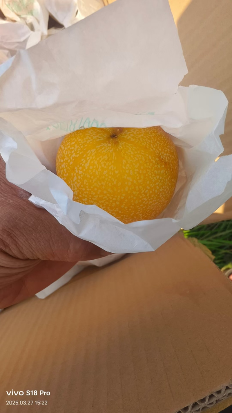 哥伦比亚热情果