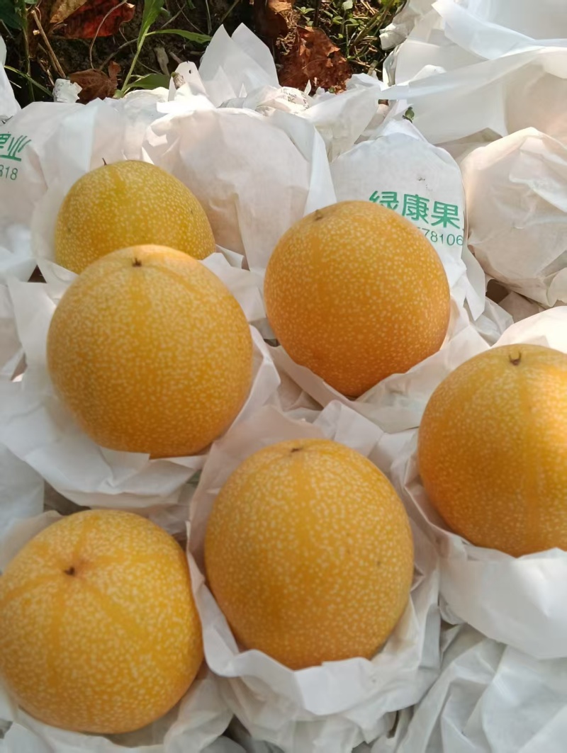 哥伦比亚热情果